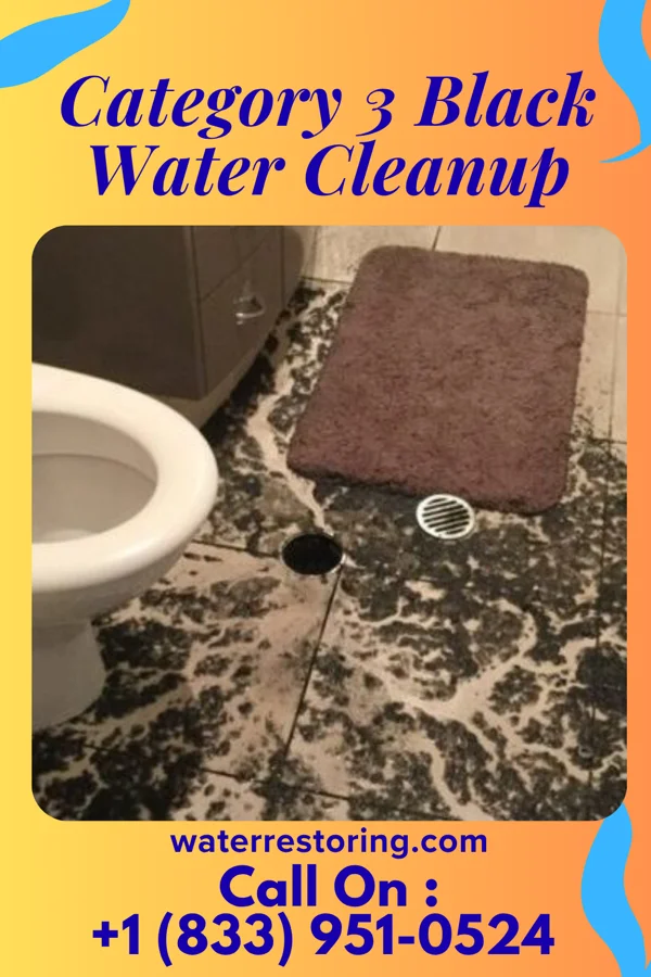 Category 3 Black Water Cleanup in Burtrum, MN