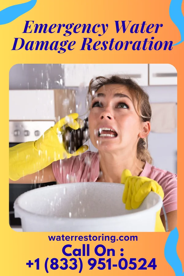 Emergency Water Damage Restoration in Burtrum, MN