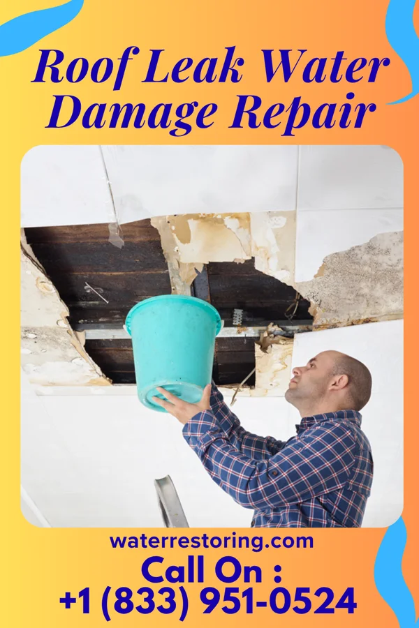 Roof Leak Water Damage Repair in Burtrum, MN