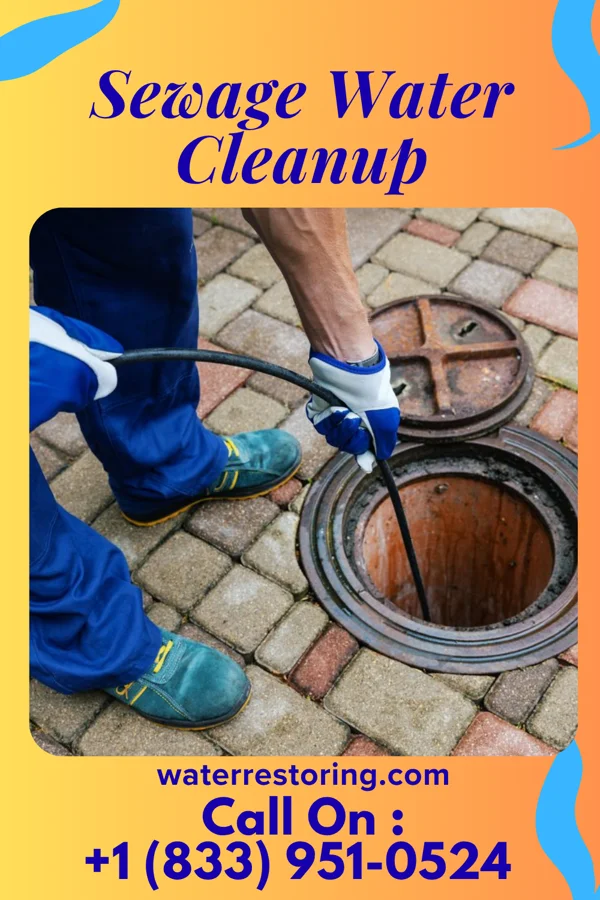 Sewage Water Cleanup in Burtrum, MN